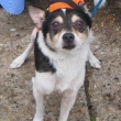 sparky2